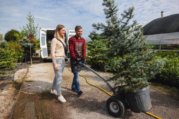 Dead Tree Removal in Philo, IL